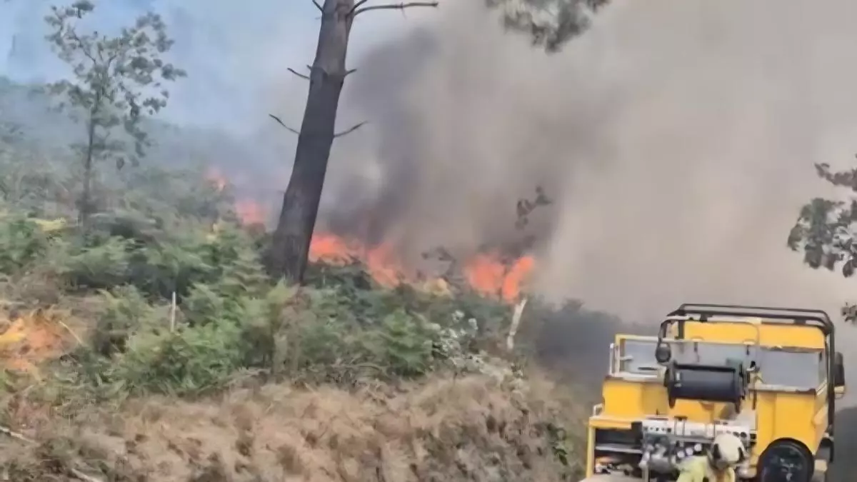 Susto en La Belga tras producirse un incendio en los terrenos de la nueva ciudad deportiva del Real Oviedo