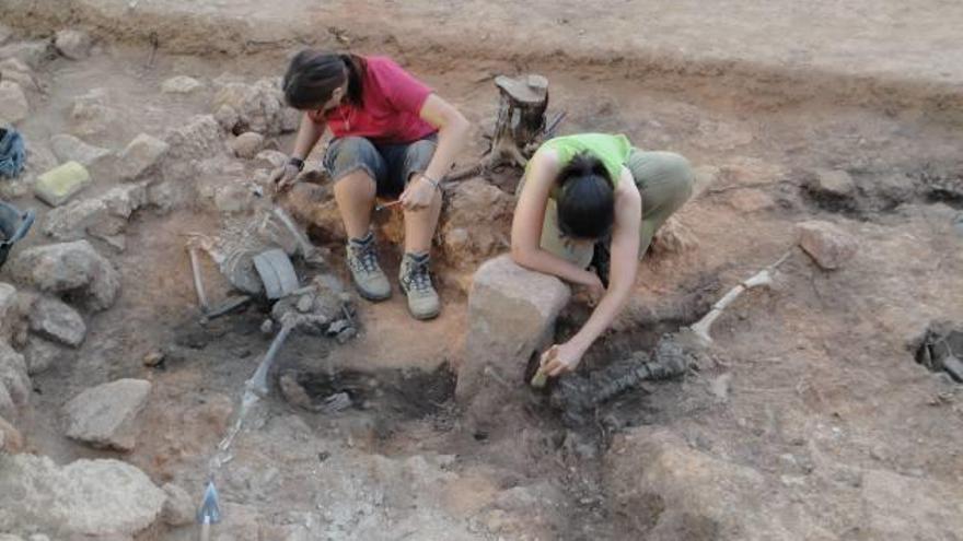 Los arqueólogos hallaron restos de dos esqueletos humanos en el yacimiento ibero de la Celadilla, en Ademuz.