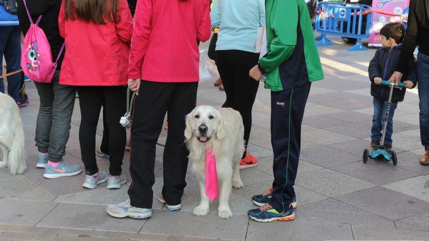 San Silvestre en Molina de Segura