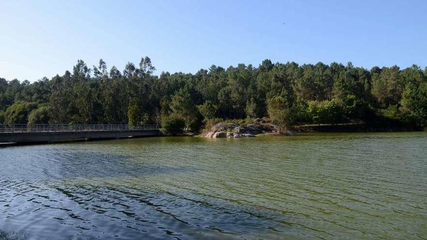 Las aguas del embalse, con la tonalidad verde de las algas. // Noé Parga