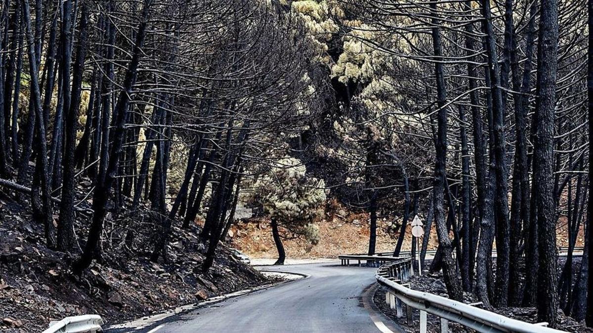 Puerto de Peñas Blancas, tras el incendio. / ÁLEX ZEA