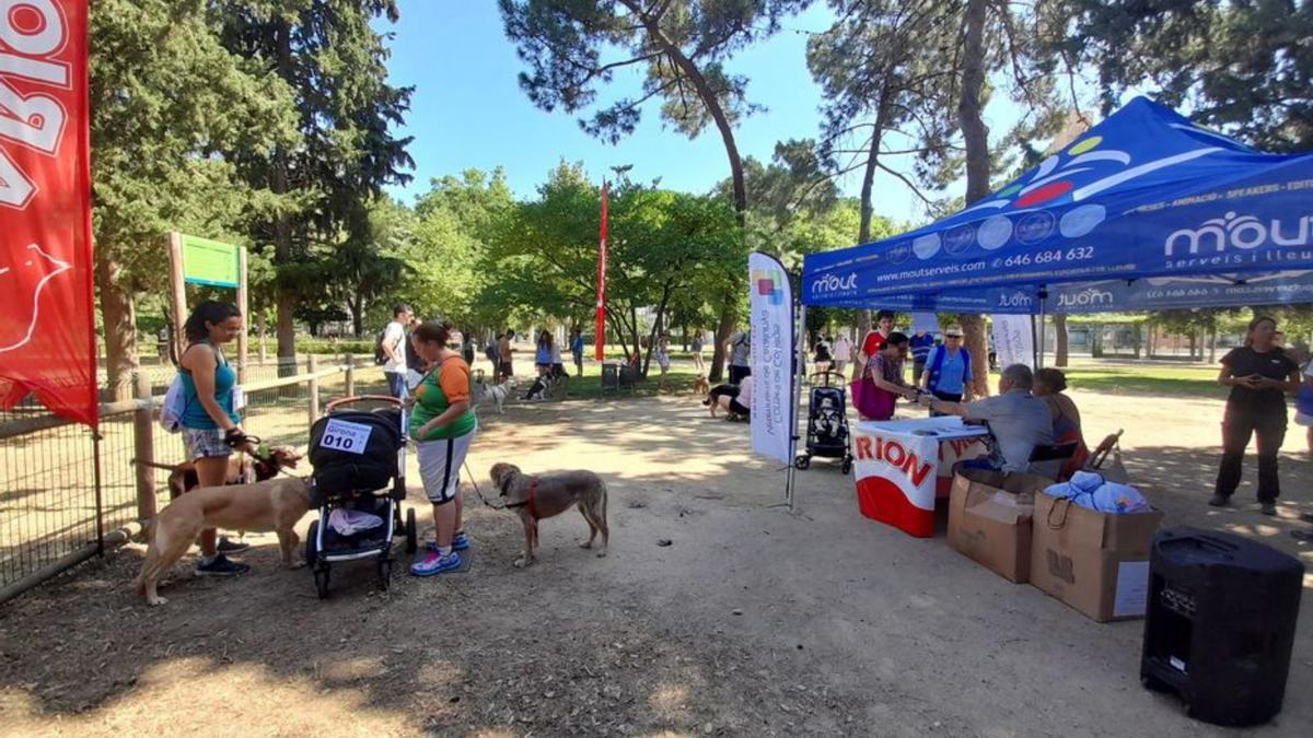 Participants a la sortida de la I Passejada. | DDG