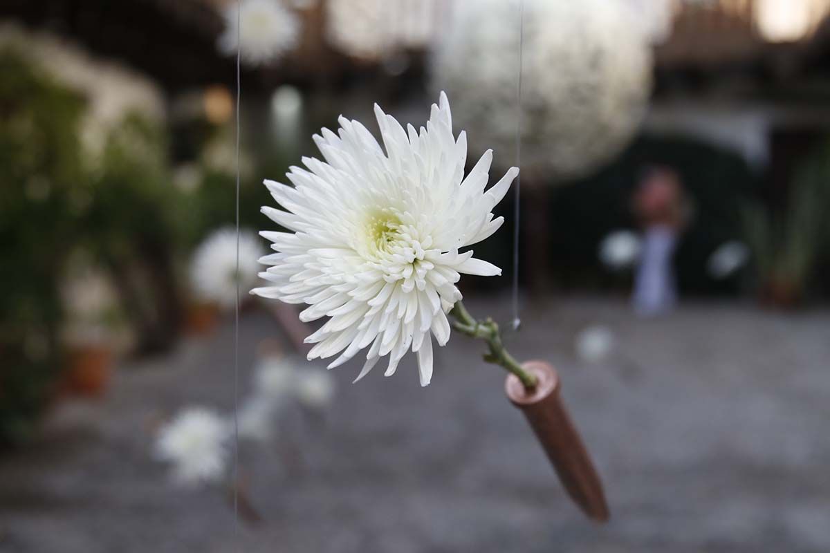 Instalación floral de la Posada del Potro