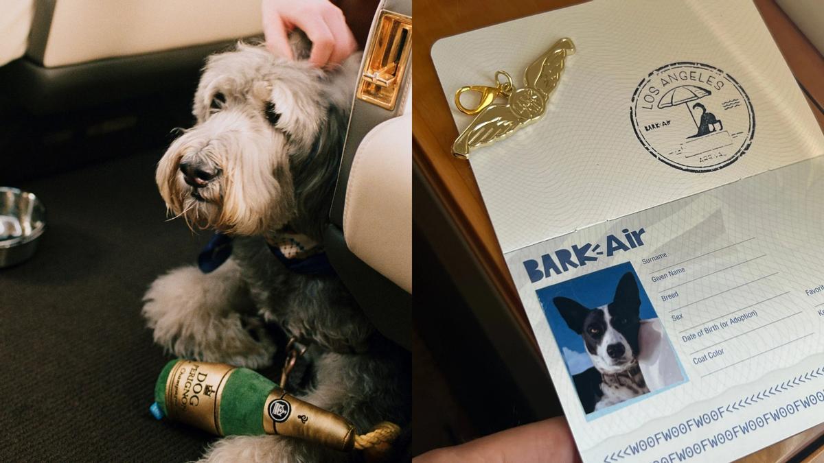 Así es volar en avión privado con tu perro: spa, premios y hasta “champán” por más de 14.000 euros
