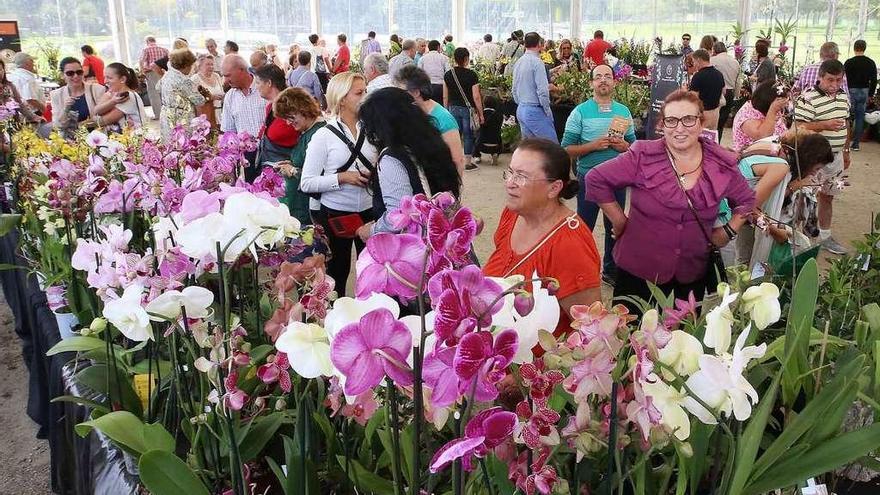 Jardín botánico de orquídeas del parque de A Canuda a ampliar. // A. Hernández