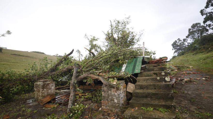 Adiós al hórreo centenario del Molín del Pielgo: el tornado se lleva por delante la histórica construcción de Antromero