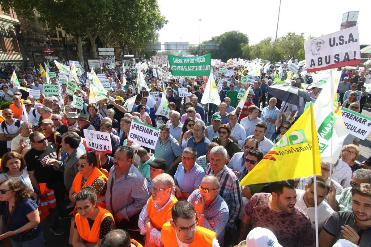 Córdoba se suma a la gran manifestación del olivar en Madrid