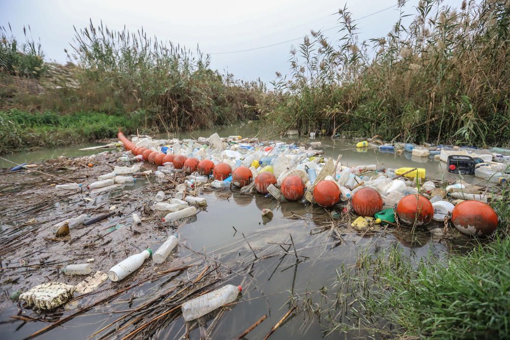 La Conselleria de Medio Ambiente y la CHS impulsan medidas para evitar la contaminación del Segura en la Vega Baja por sólidos flotantes.