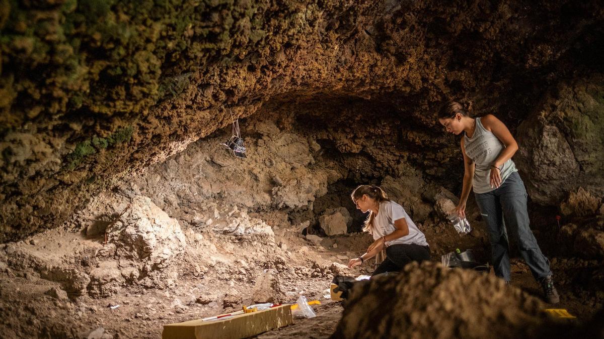 Excavación arqueológica en la Cueva de los Cabezazos, en Tegueste