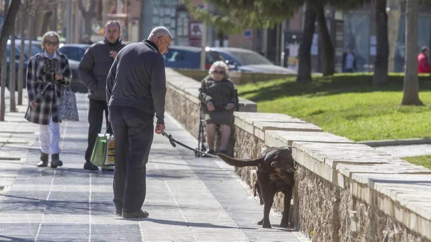 Botellas para que los dueños limpien el pipí de sus mascotas