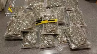 Detenidos por intentar enviar cogollos de marihuana desde la Región hasta Alemania