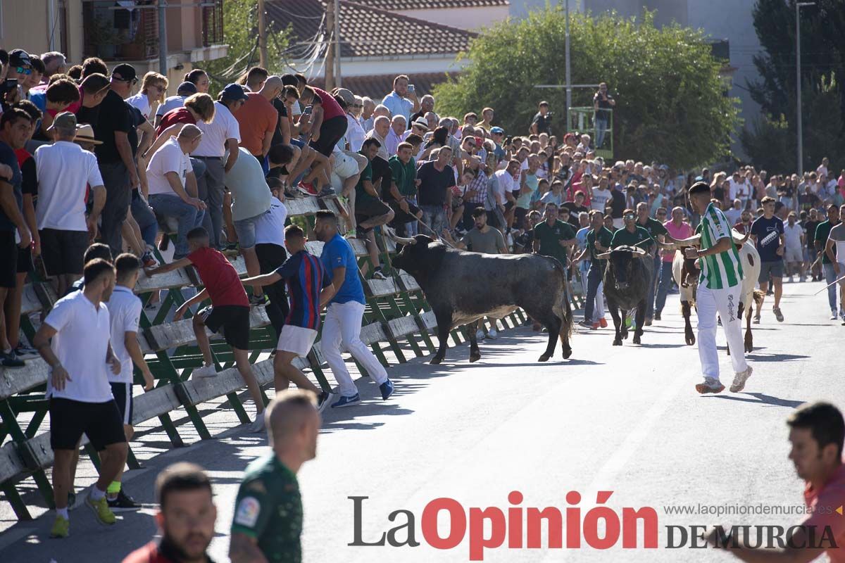 Tercer encierro Feria del Arroz en Calasparra