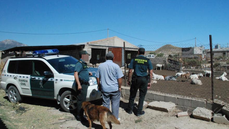 Cuatro detenidos por sustracciones en zonas rurales de la Región