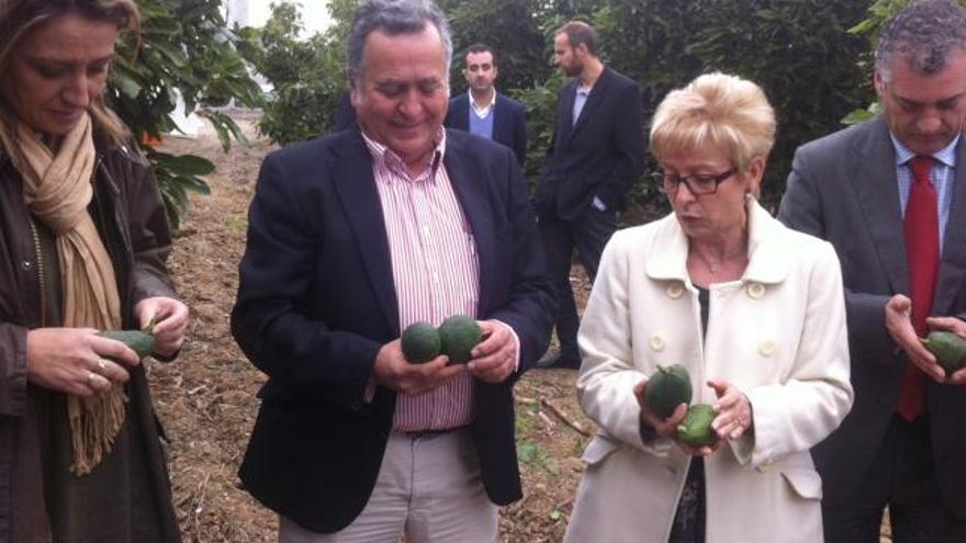 La consejera de Agricultura, Pesca y Desarrollo Rural, Elena Víboras, en las instalaciones de Frutas Montosa.