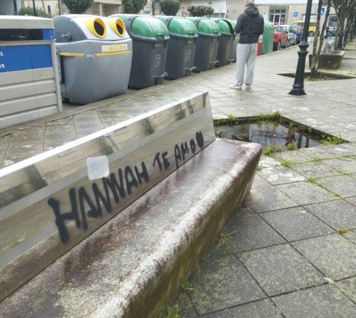 Pintadas y jardineras sin árboles.