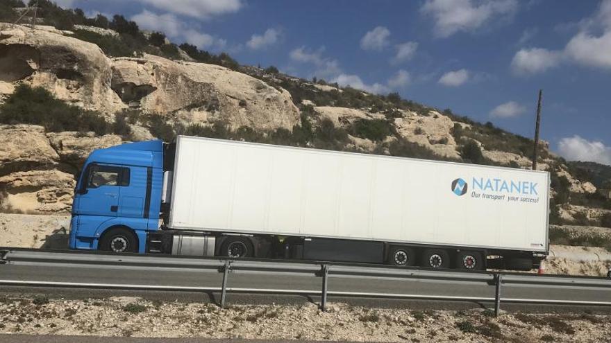 El camión con su conductor y un guardia civil de Tráfico