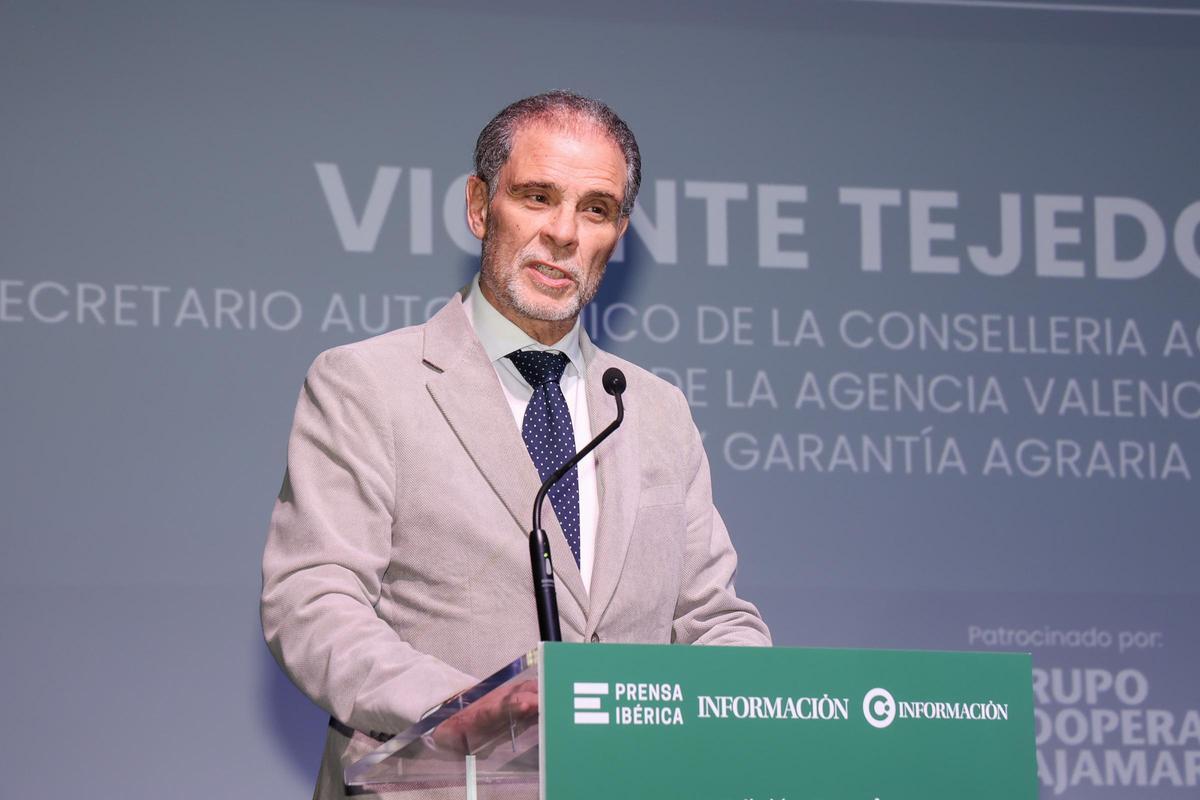 Vicente Tejedo Tormo, secretario autonómico