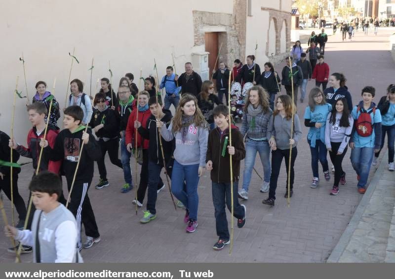 GALERÍA DE FOTOS -  Romería Magdalena 2014 (1)