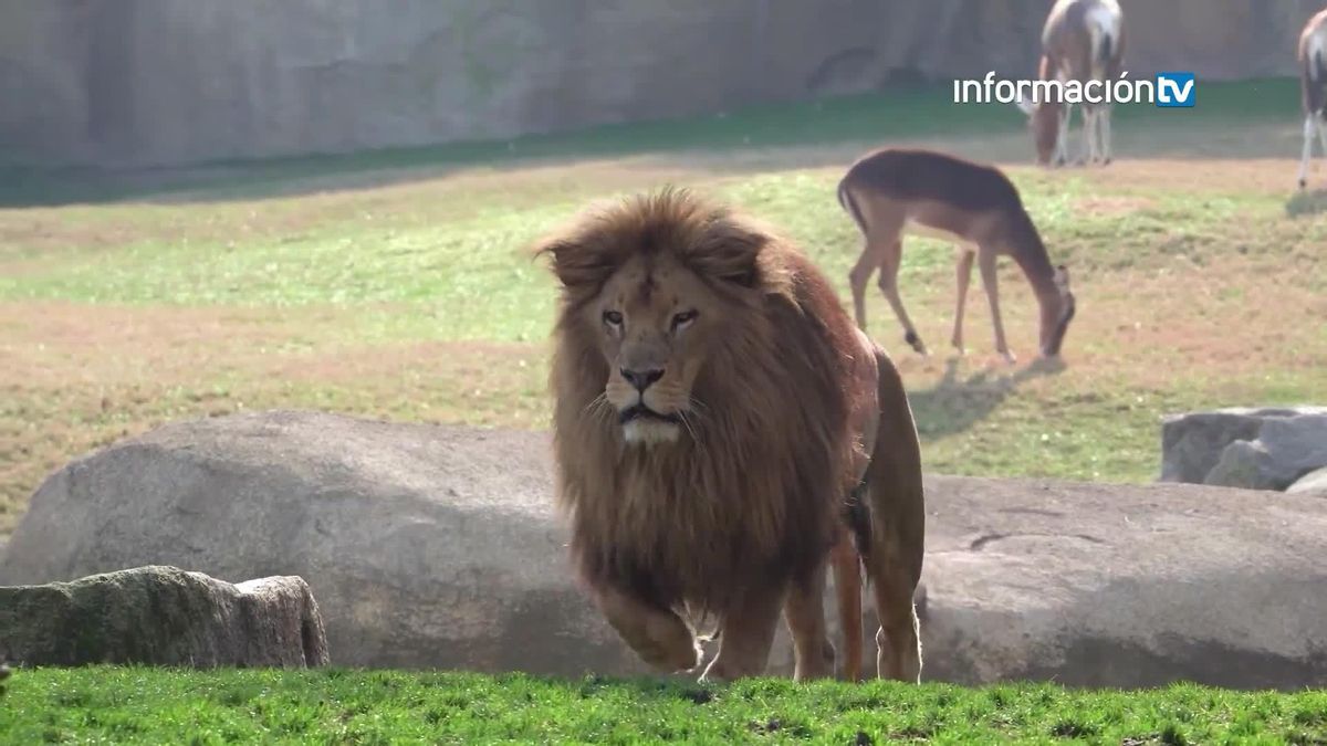 Biopark