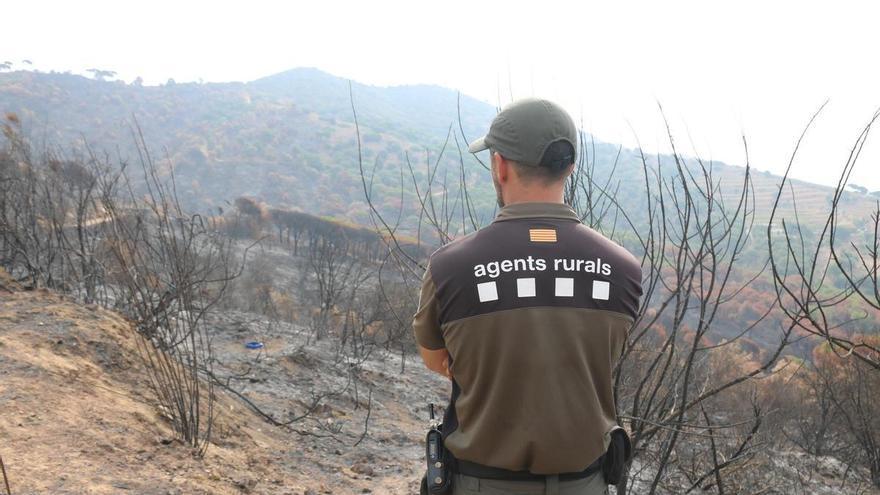 Protecció Civil alerta que dijous serà el dia de màxim risc d’incendi forestal a Catalunya