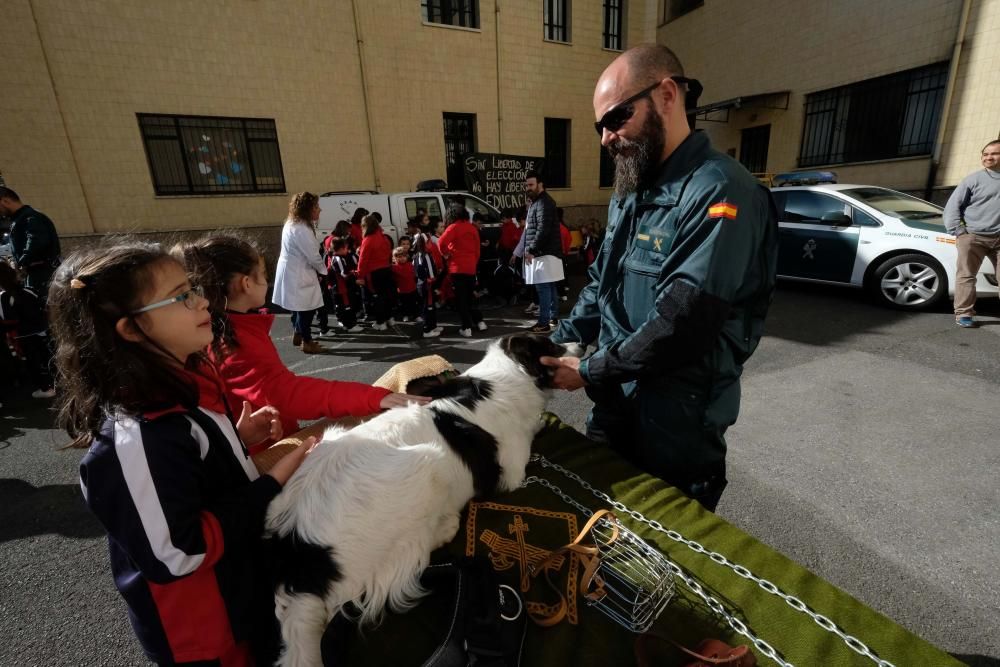 Exhibición Guardia Civil en el colegio San José de Sotrondio