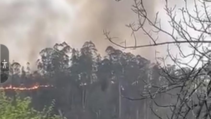 Incendio en Parres, cerca de Cangas de Onís