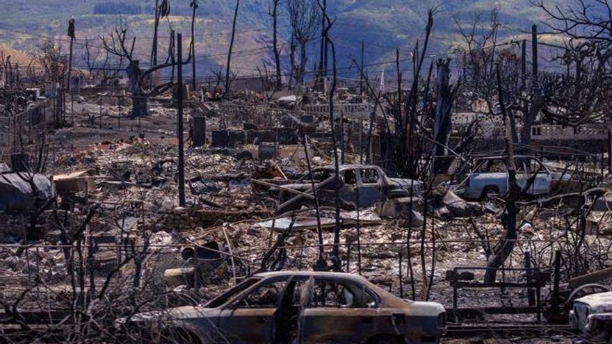 L&#039;incendi de Maui a Hawaii és també un desastre ecològic i científic