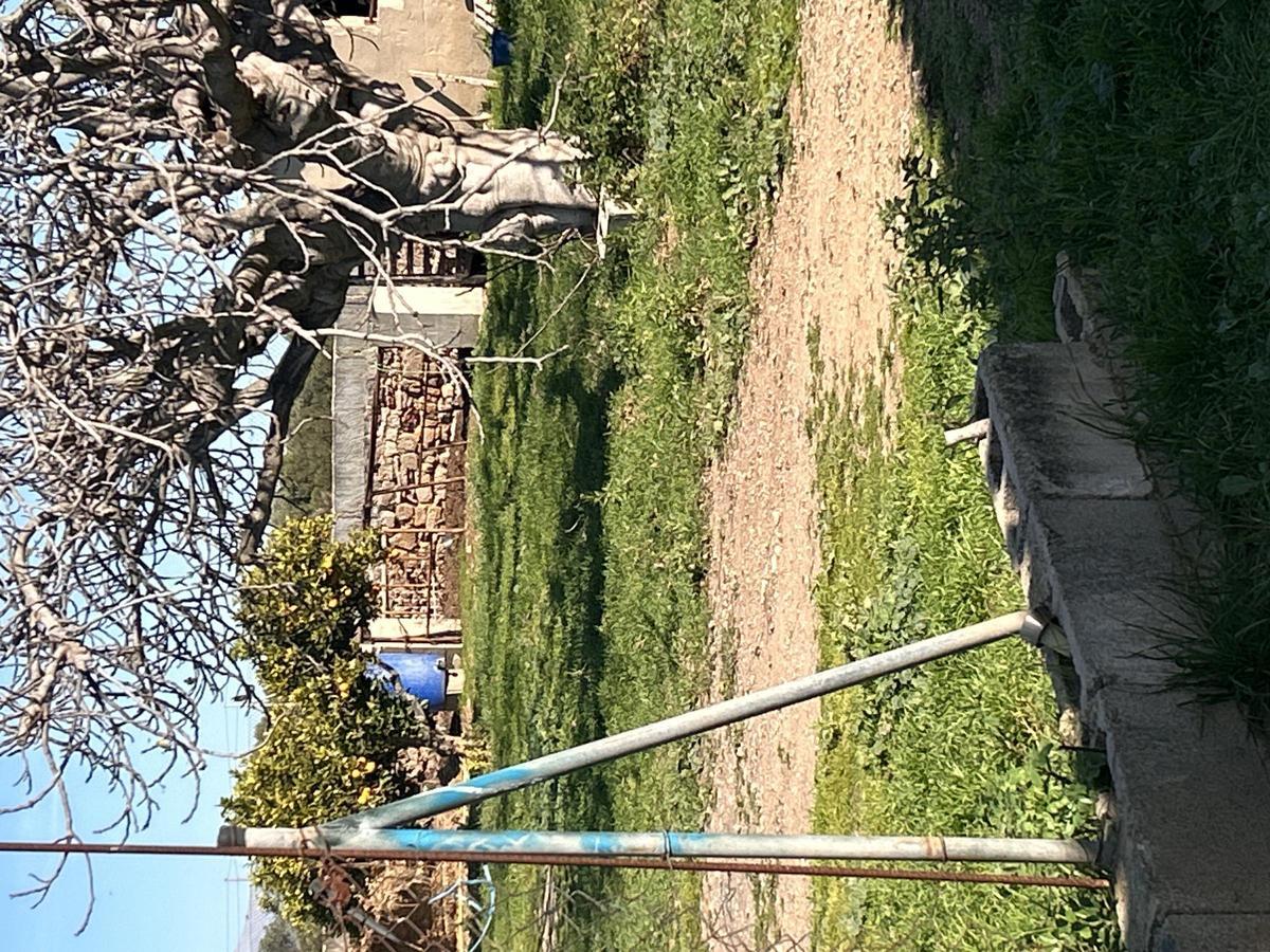 Imagen de una finca donde viven algunos de los caballos