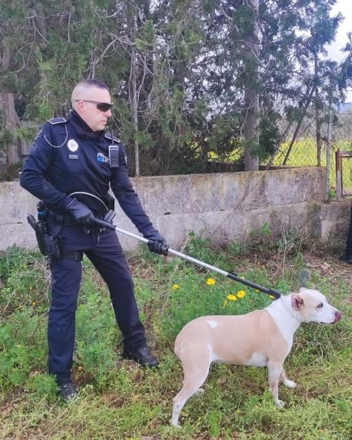 Un policía, con el perro inmovilizado.