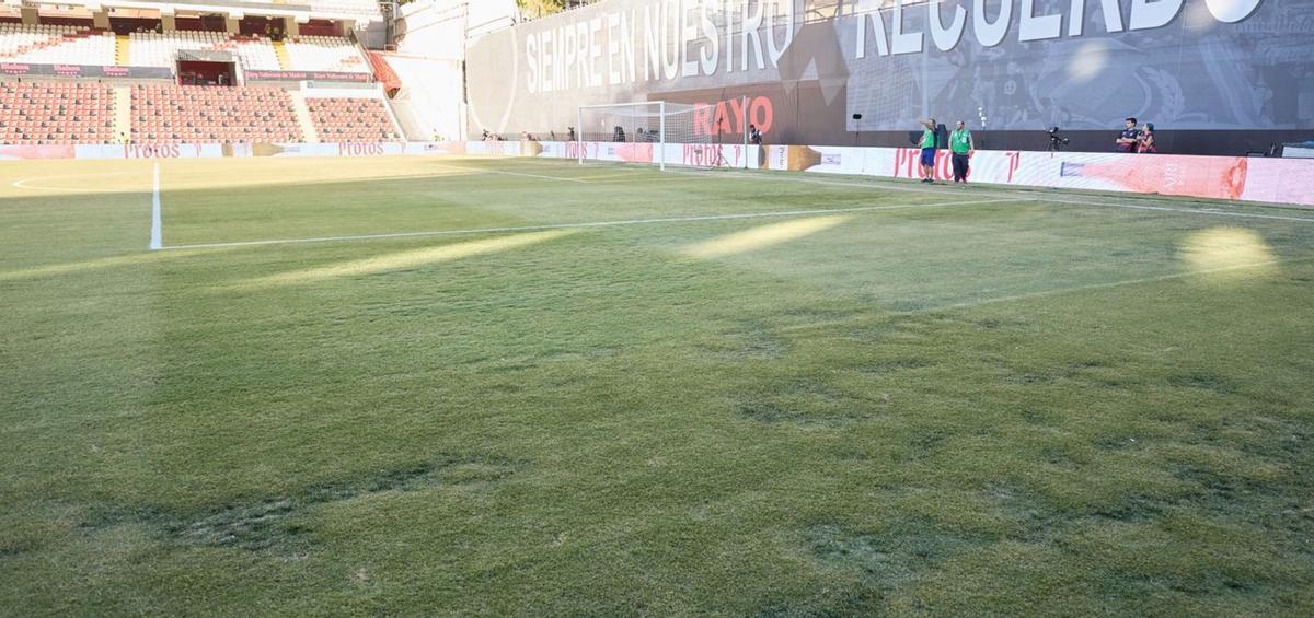 Una imagen del estado del césped del estadio de Vallecas hace unas semanas. | INSTAGRAM