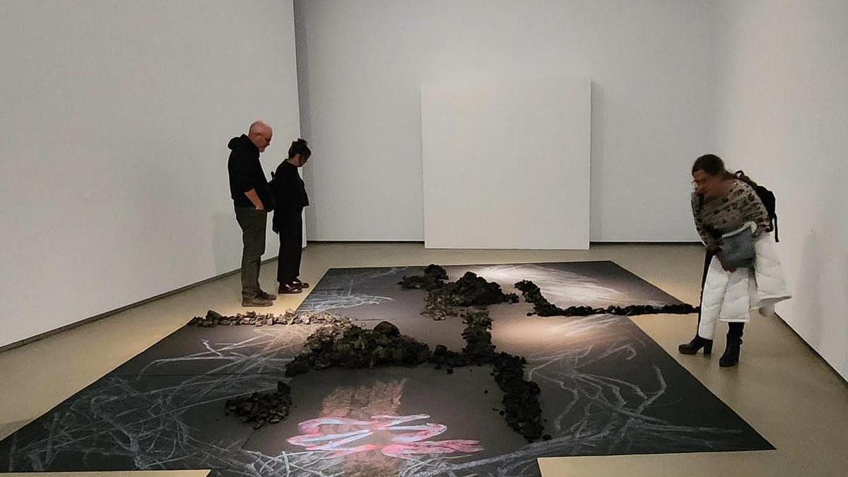 Instalación ‘Coordenadas opuestas’ situada en la segunda sala con dibujos de ramas entrelazadas con carbón real.