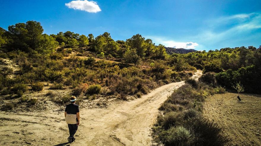 El Gobierno tumba el proyecto de dos macroplantas solares que iban a ocupar 309 hectáreas de Sierra Escalona