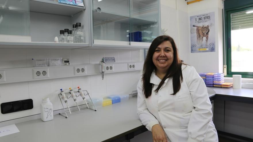 La comunicación química entre ratas hembra existe y es compleja, según un estudio de la UCO