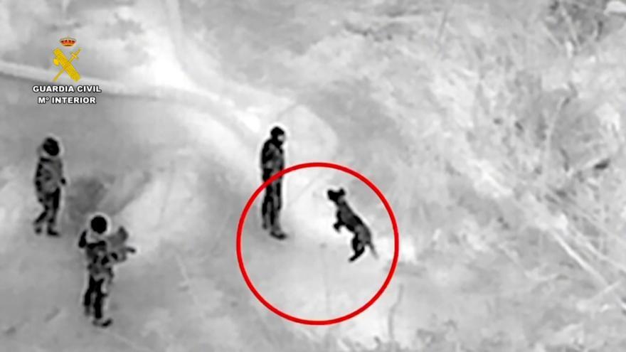 Loro Parque y su Fundación donan 100.000 euros para ayudar a los damnificados de la DANA en Valencia