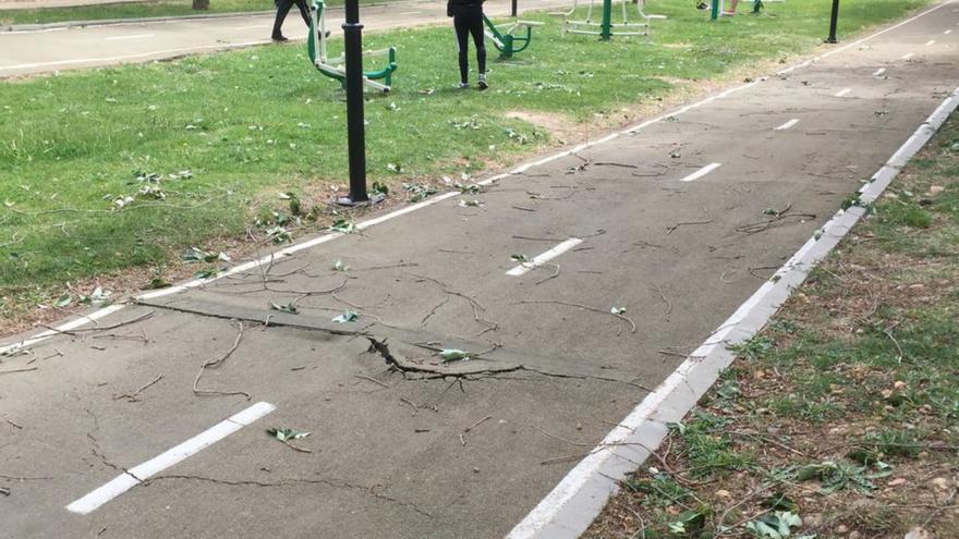 Estado que presenta el carril bici de Benavente. | E. P.