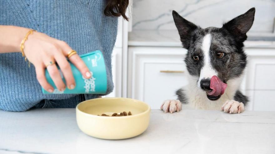 La marca de comida natural para perros que utiliza solo carne y pescado frescos, frutas y verduras