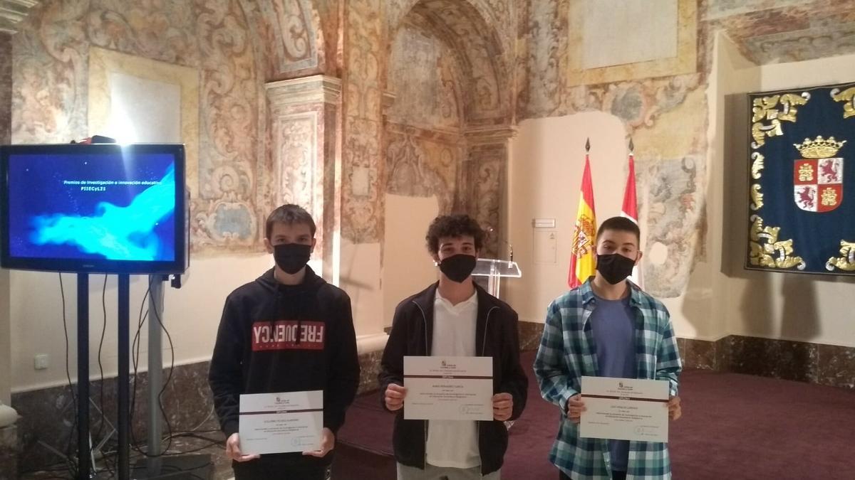 Los estudiantes toresanos, con sus diplomas.