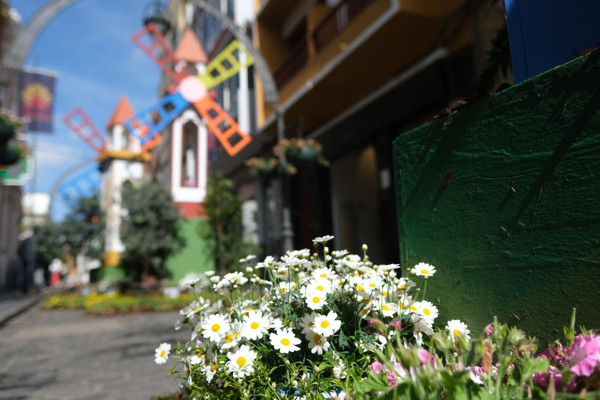 II Muestra 'Gáldar en Flor'