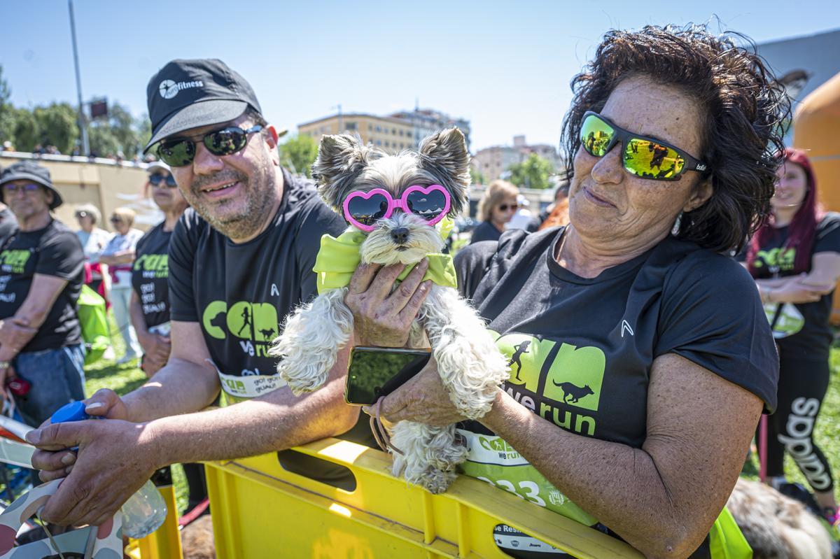 CAN WE RUN BARCELONA. La carrera organizada por Prensa Ibérica y El Periódico de Catalunya con la colaboración de Sport ,  donde las personas y sus mascotas perrunas corren en familia