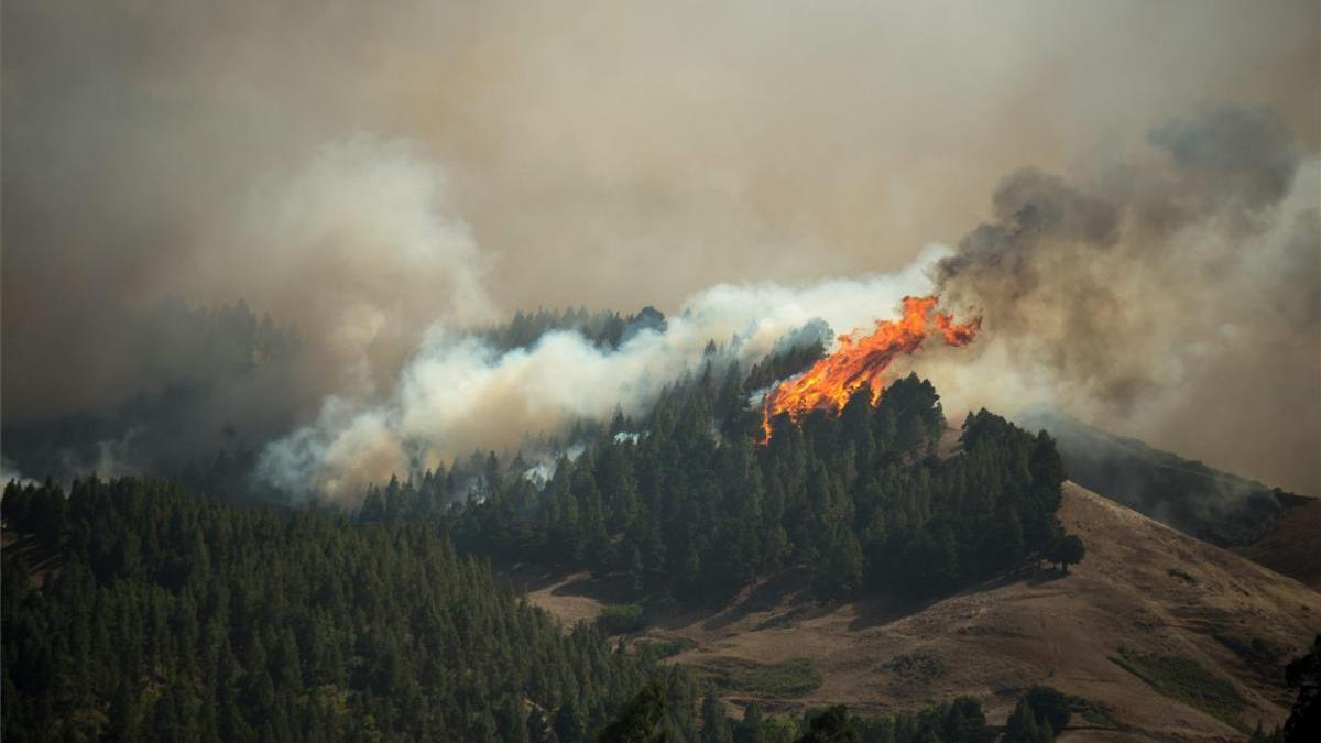 Incendio sin control: 9.000 evacuados y 10.000 hectáreas quemadas en Gran Canaria
