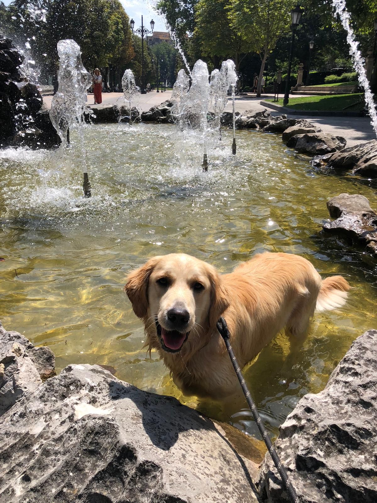 En imágenes: El calor se deja notar en Oviedo