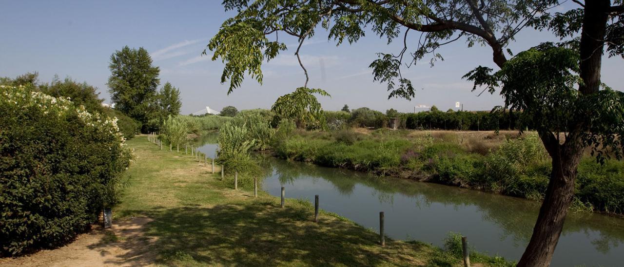 Un paseo por el Parc Natural del Túria