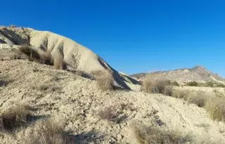 La sequía provoca los primeros daños en los montes de la Región