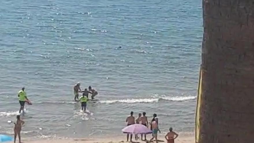 Un bañista sufre una crisis de ansiedad por la presencia de un tiburón en Orihuela Costa