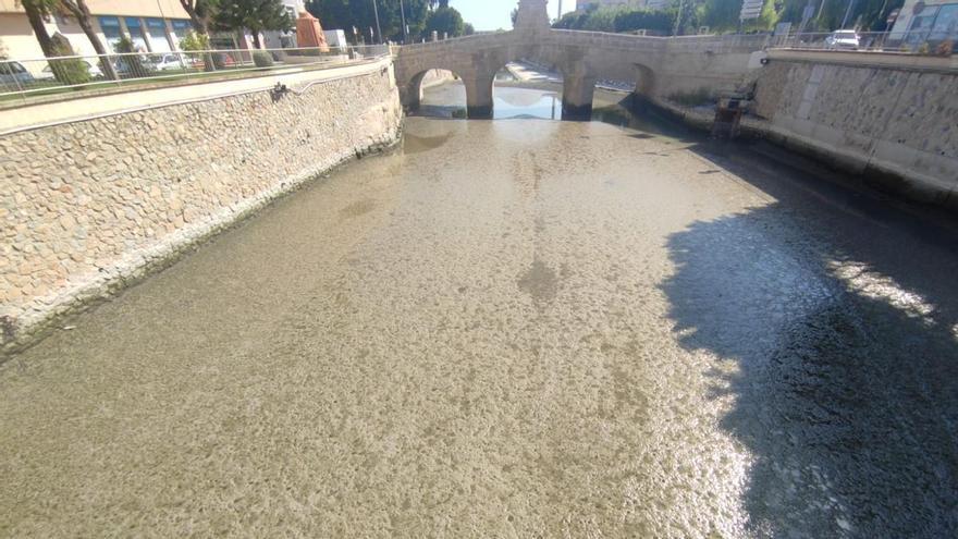 Así está el río Segura a su paso por Rojales