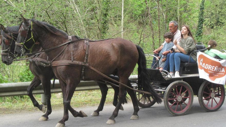 Así fue el V Concurso exposición del caballo en Cangas de Onís