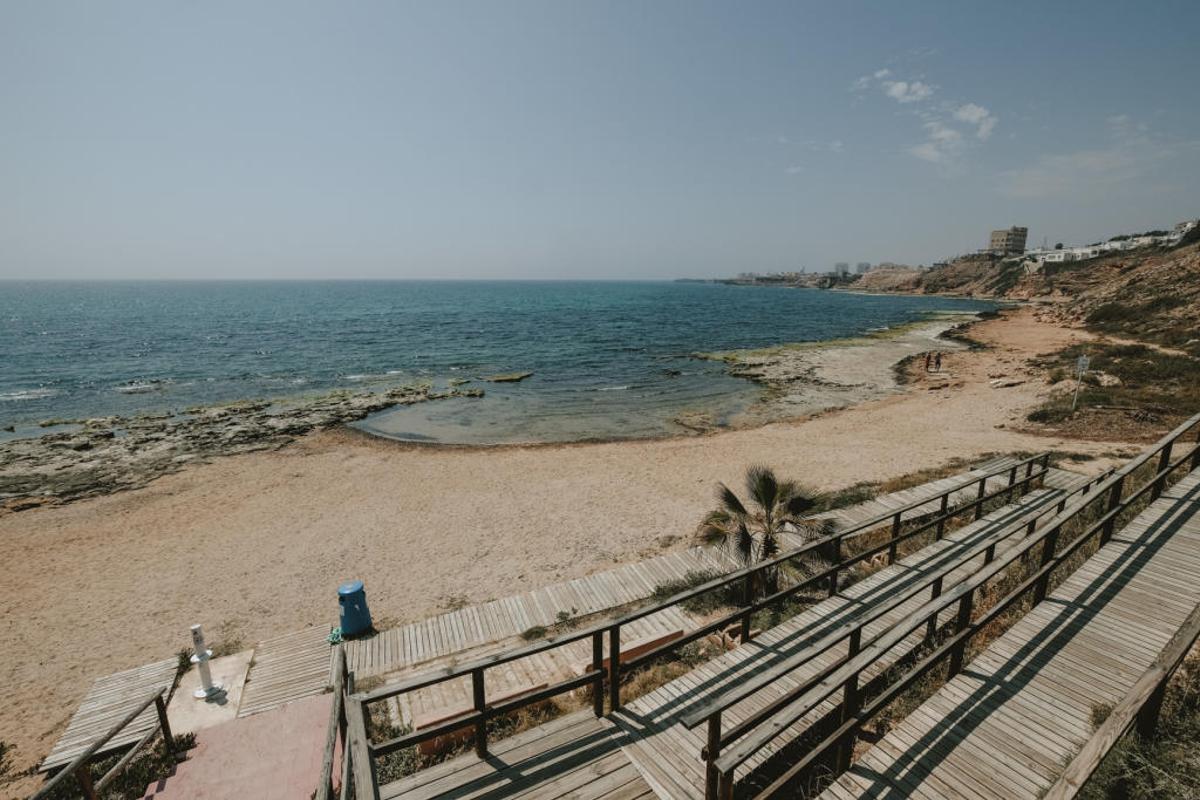 Torrevieja estrena en junio playas para perros y aplaza la consulta sobre su ubicación definitiva