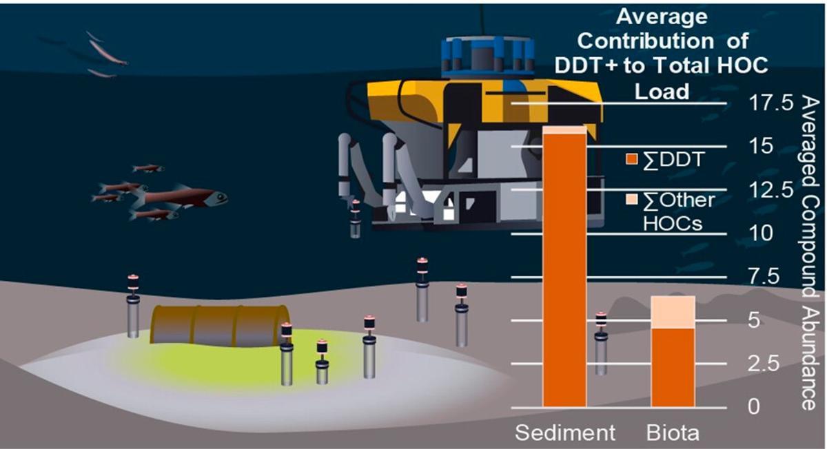 Niveles de DDT encontrados en el fondo marino analizado