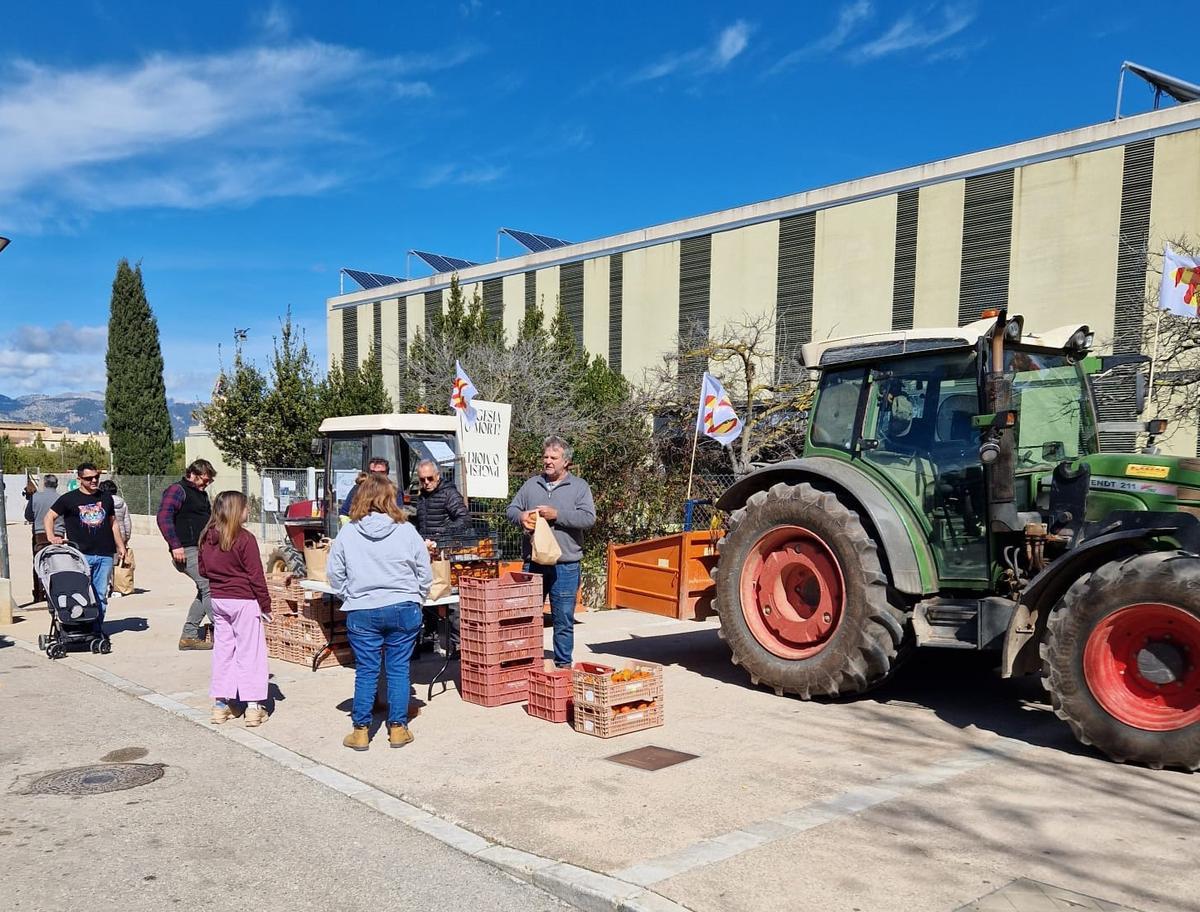 Unió de Pagesos reparte 500 kilos de naranjas y lechugas a las familias del colegio de Santa Maria