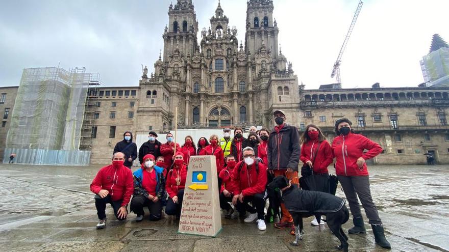 Voluntarios y miembros de Asampo en la Praza do Obradoiro.